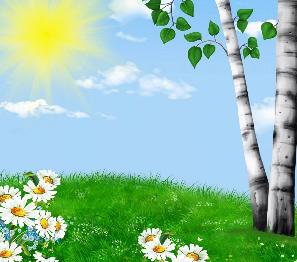 Сказочная Поляна с ромашками