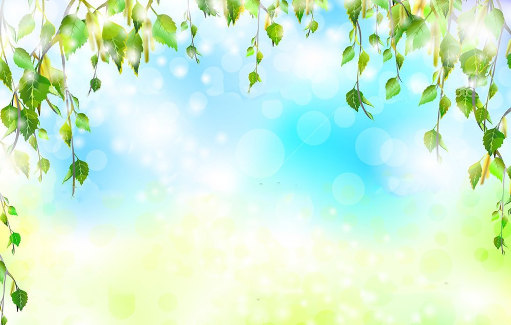 Фон Березки для презентации