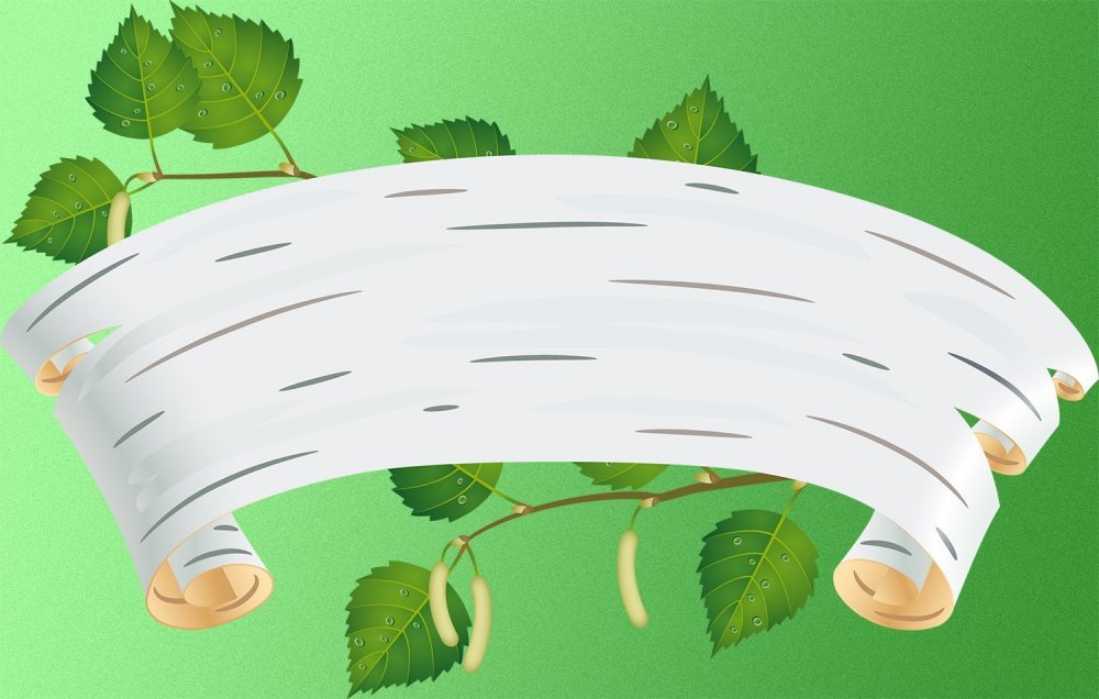 Кора березы вектор береста