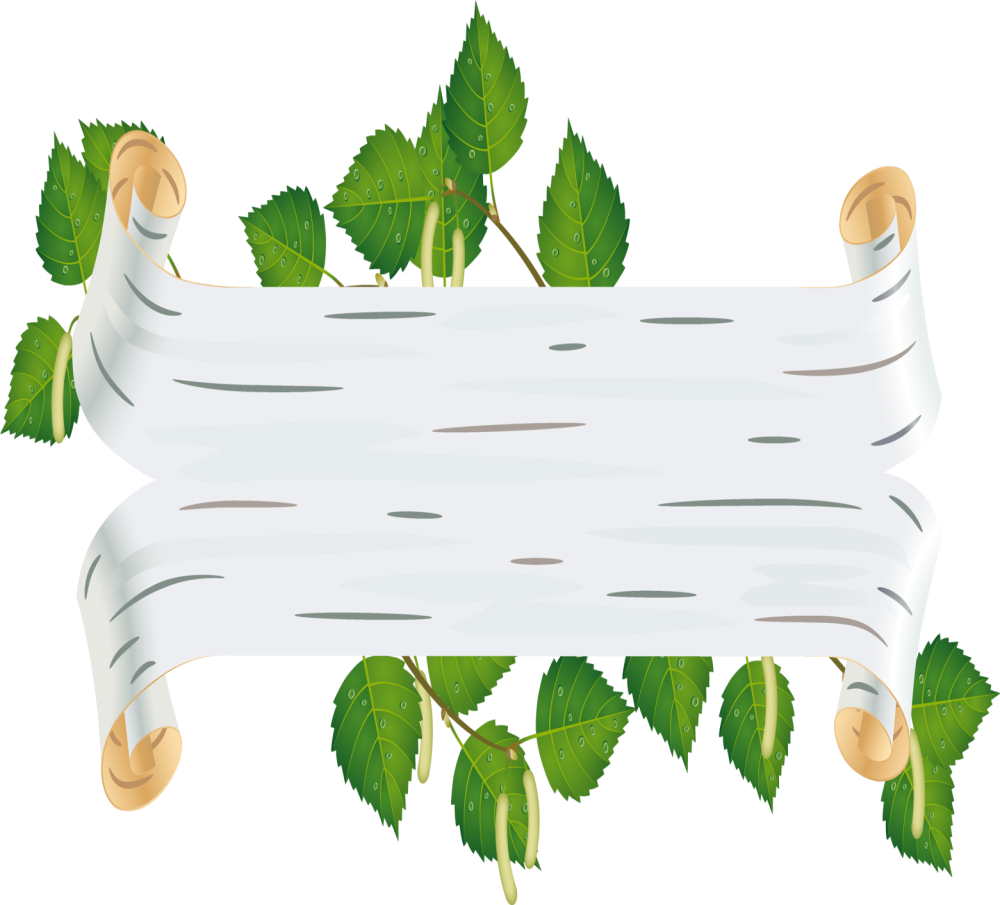 Кора березы вектор береста