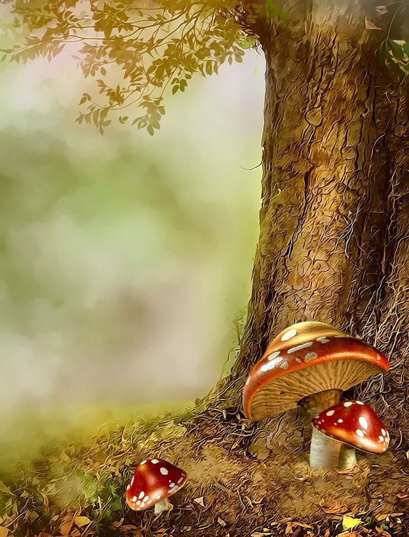 Фон для презентации грибы