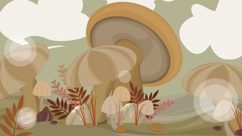 Фон лес грибы