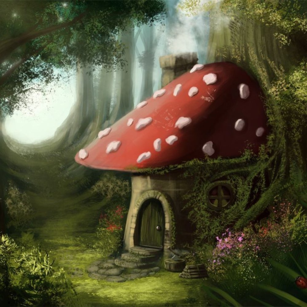 Поляна с грибами