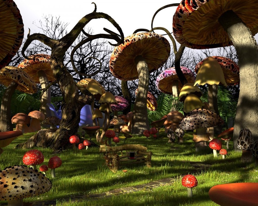 Алиса в стране чудес Зазеркалье лес