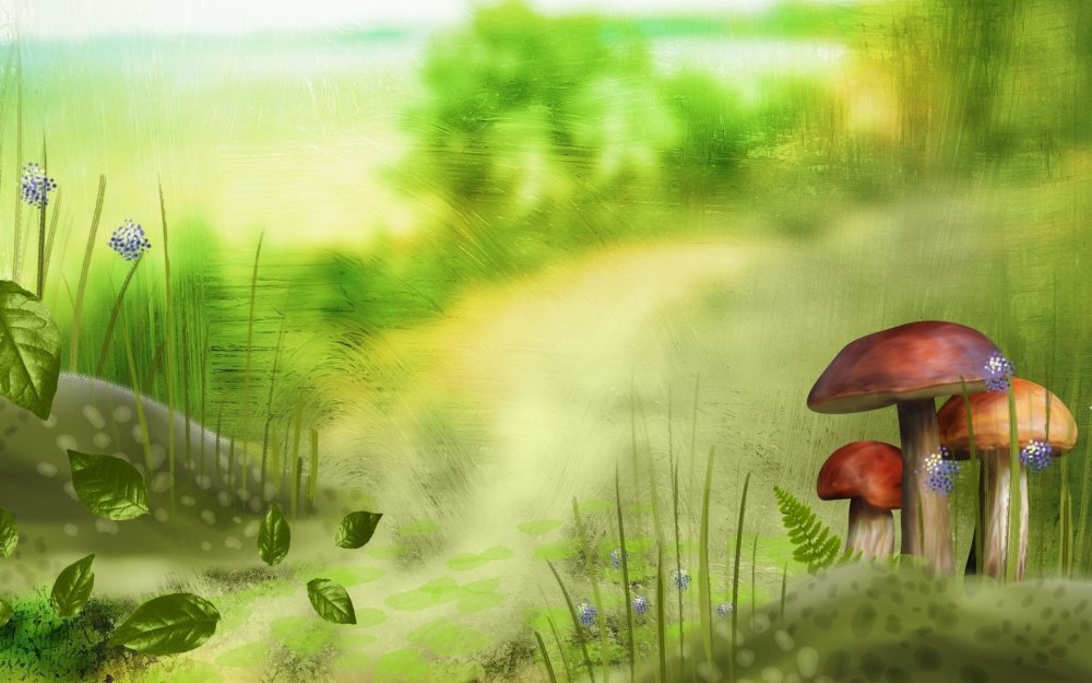 Волшебный лес с грибами