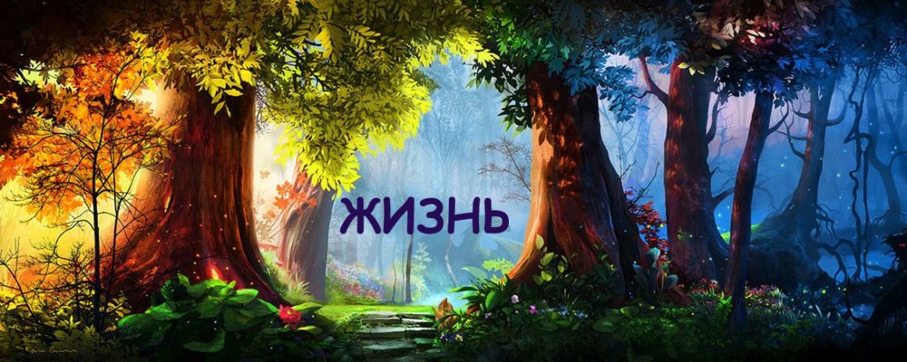 Грибная Поляна для детей