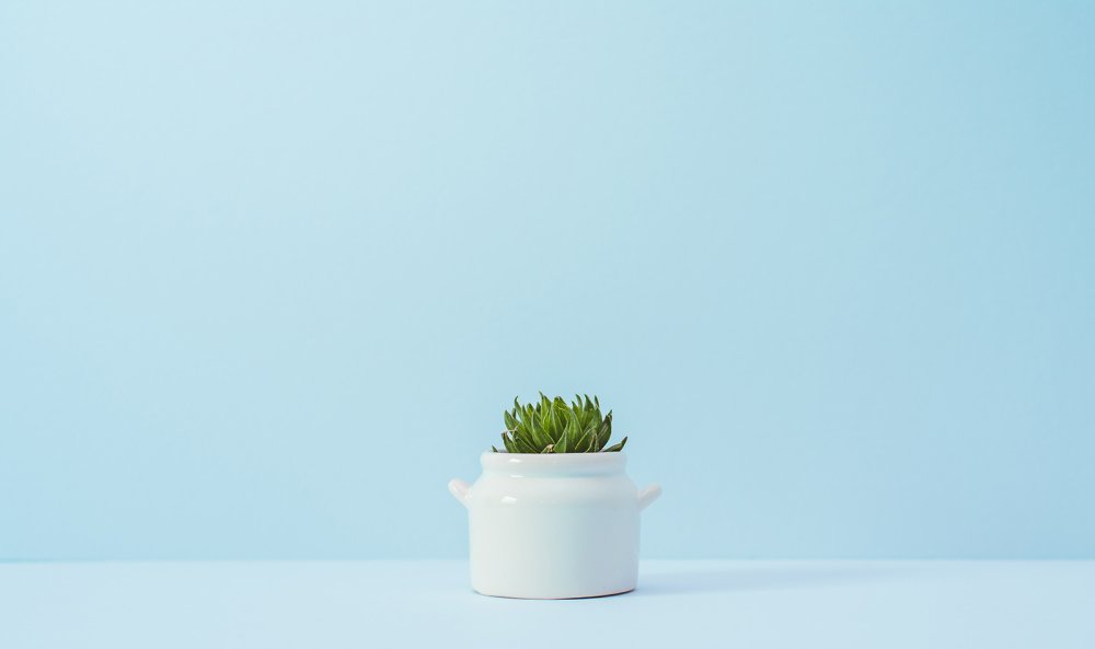 Зелень Минимализм