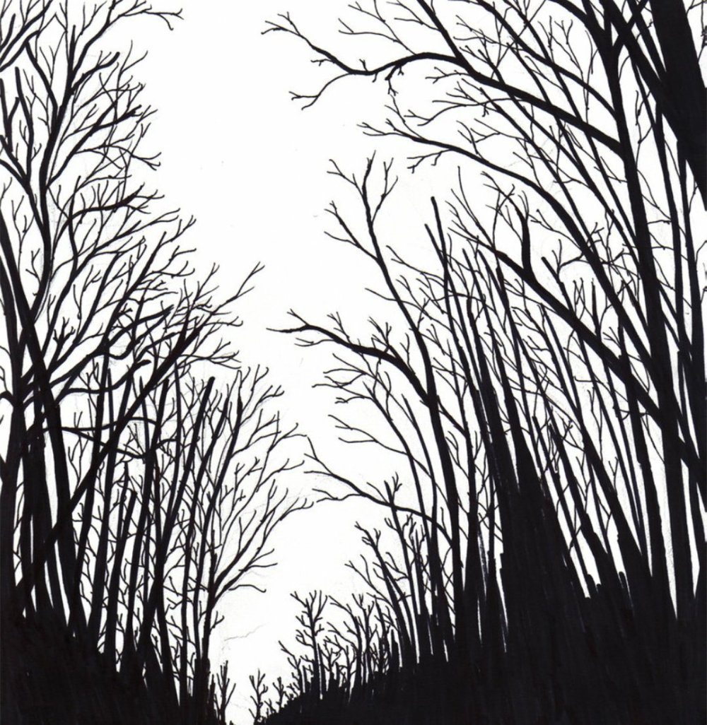 Темные силуэты деревьев