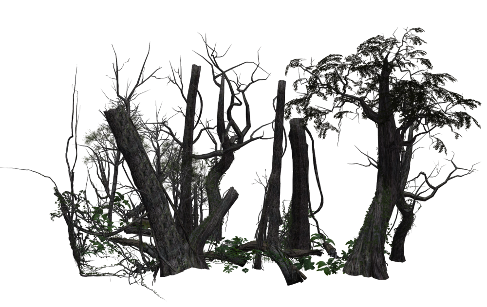 Обгоревшее дерево на прозрачном фоне