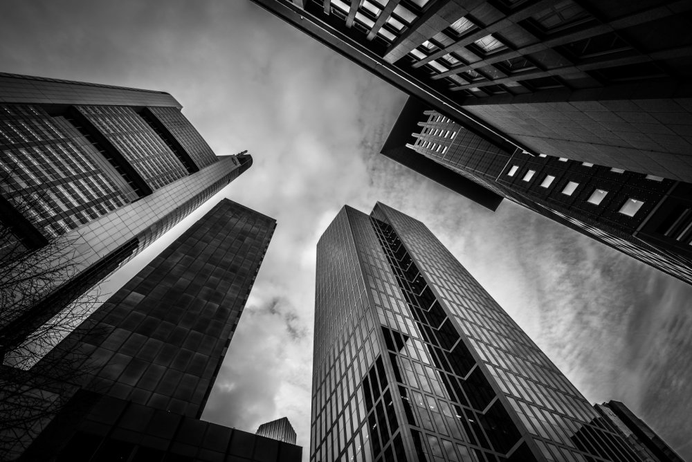 Черно белая архитектура