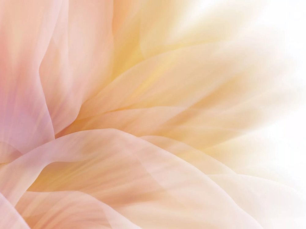 Кремовый фон