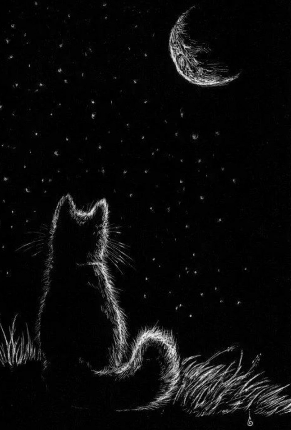 Спокойной ночи черно белое