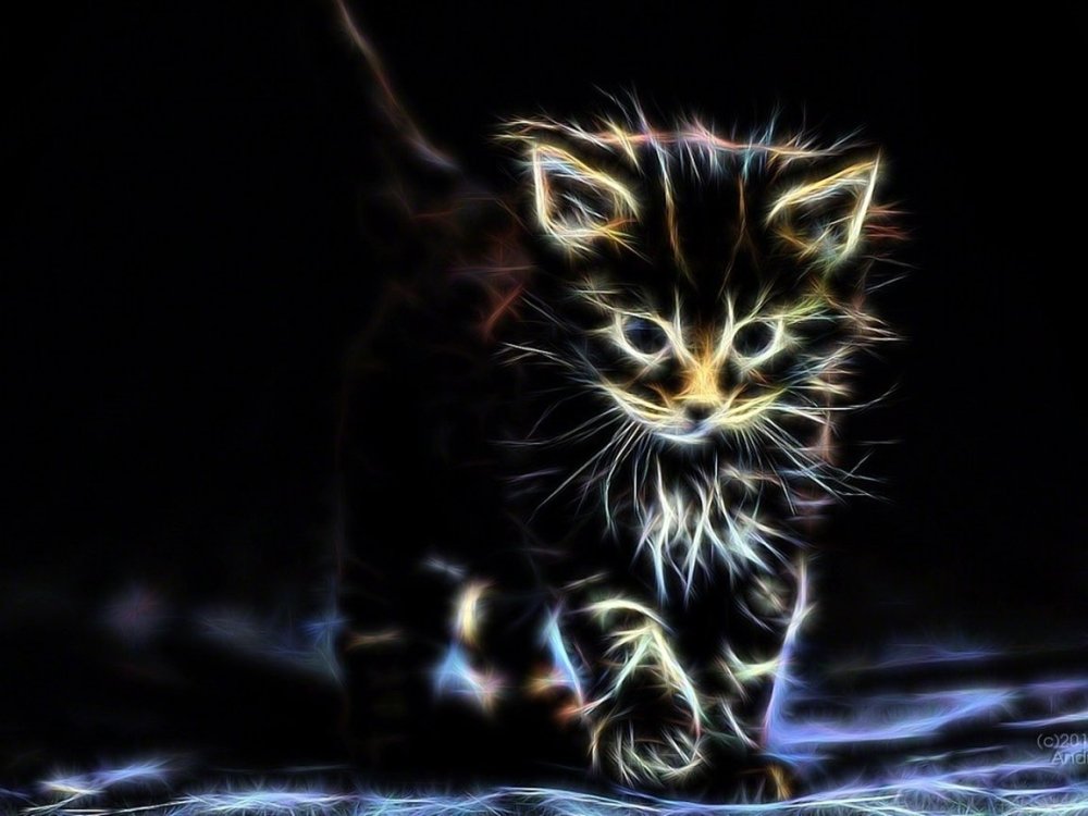 Обои с котятами