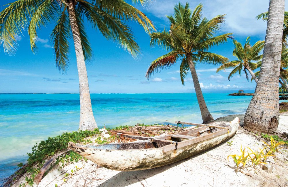 Пляж с пальмами