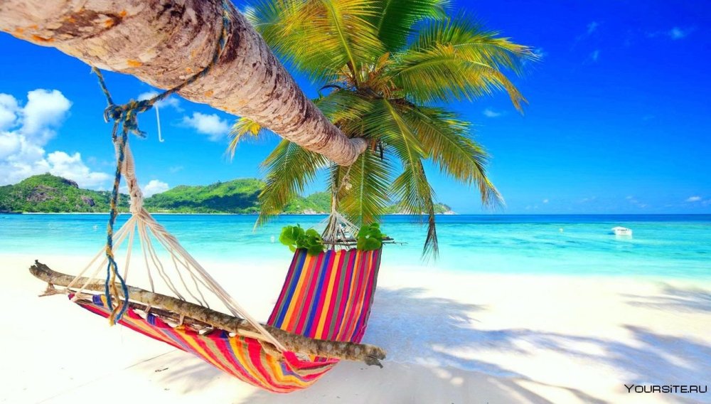 Фотообои гамак
