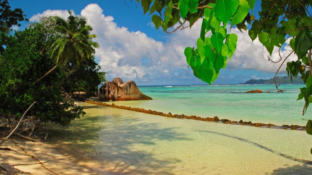 Лодка на пляже и пальмы