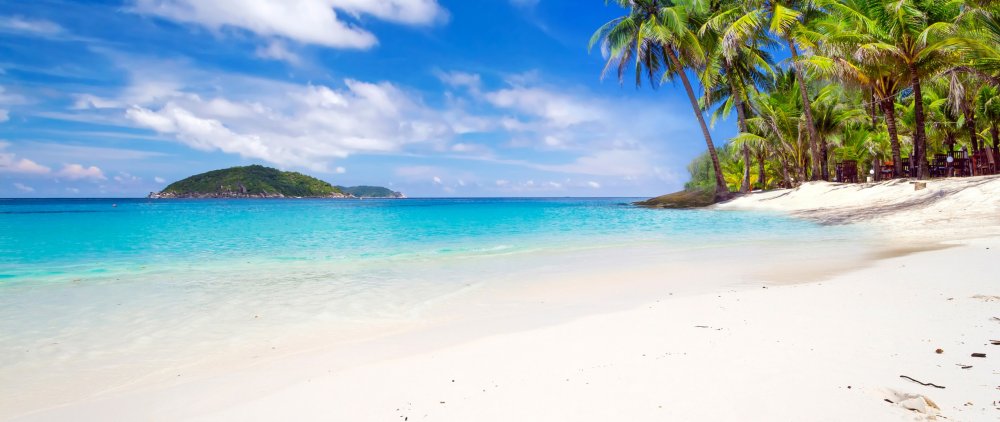 Пляж с пальмами и лежаками