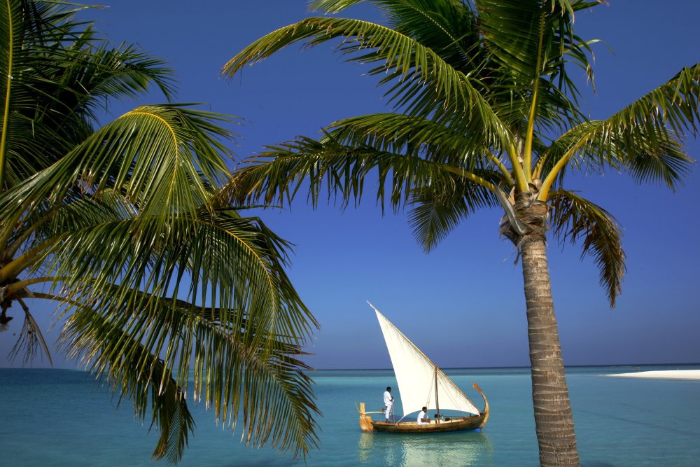 Море пальмы яхта