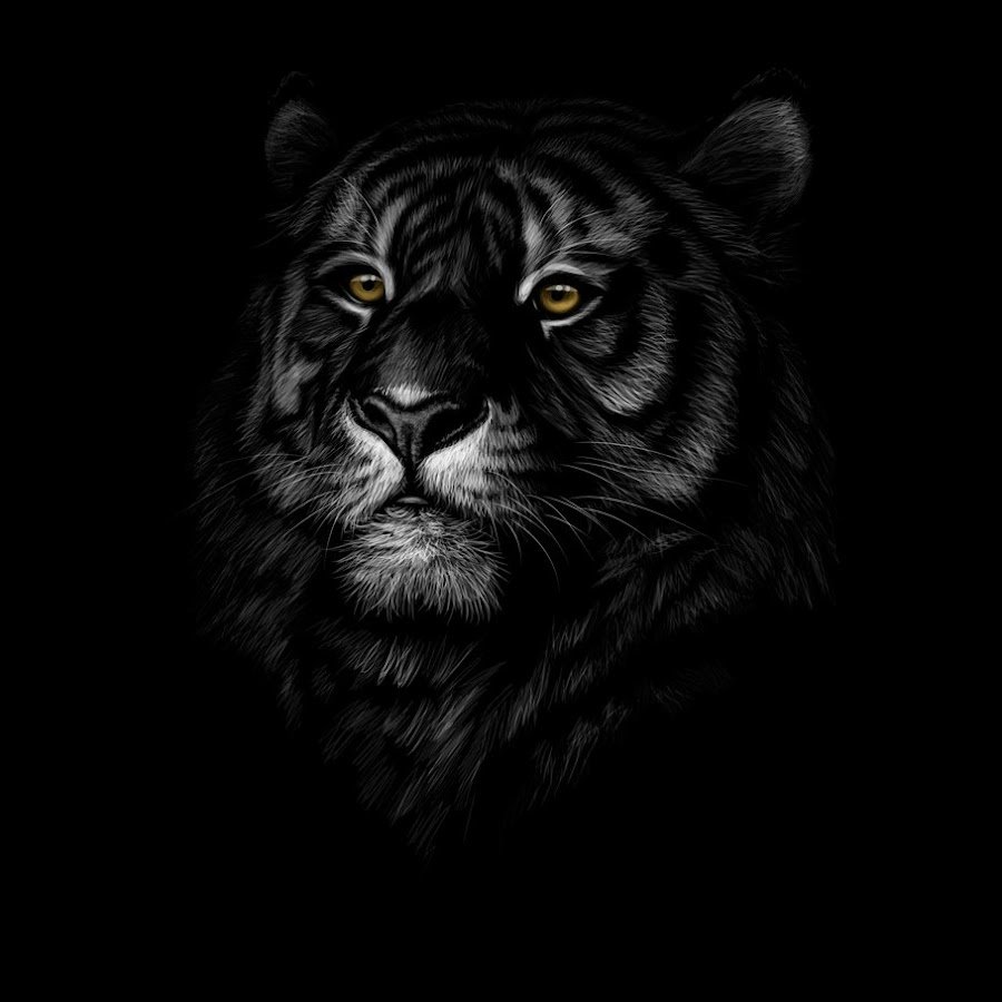 Портрет тигра на черном фоне