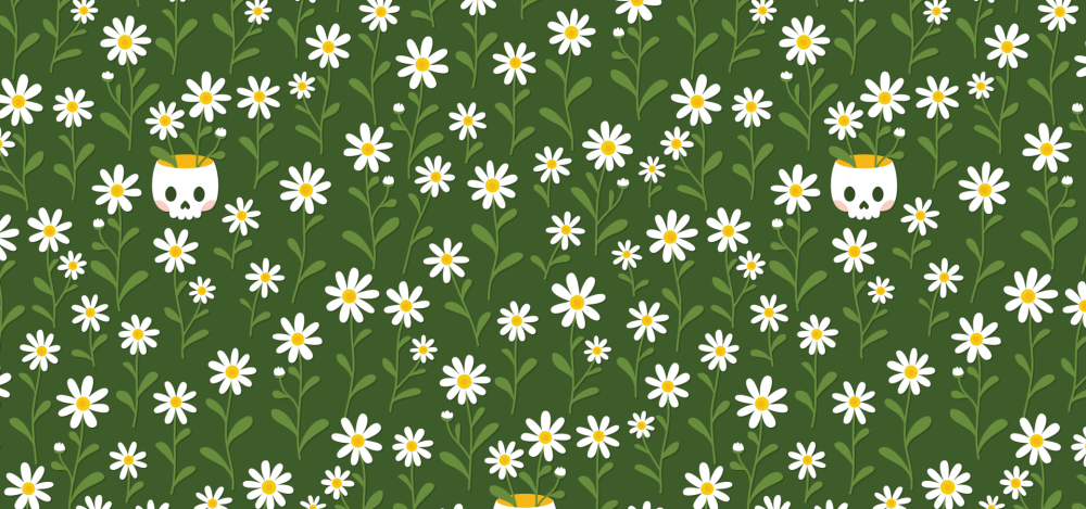 Шикарные ромашки