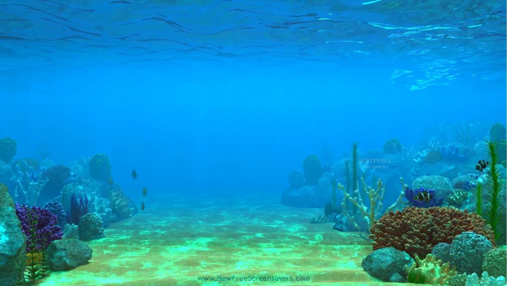 Фон для аппликации море