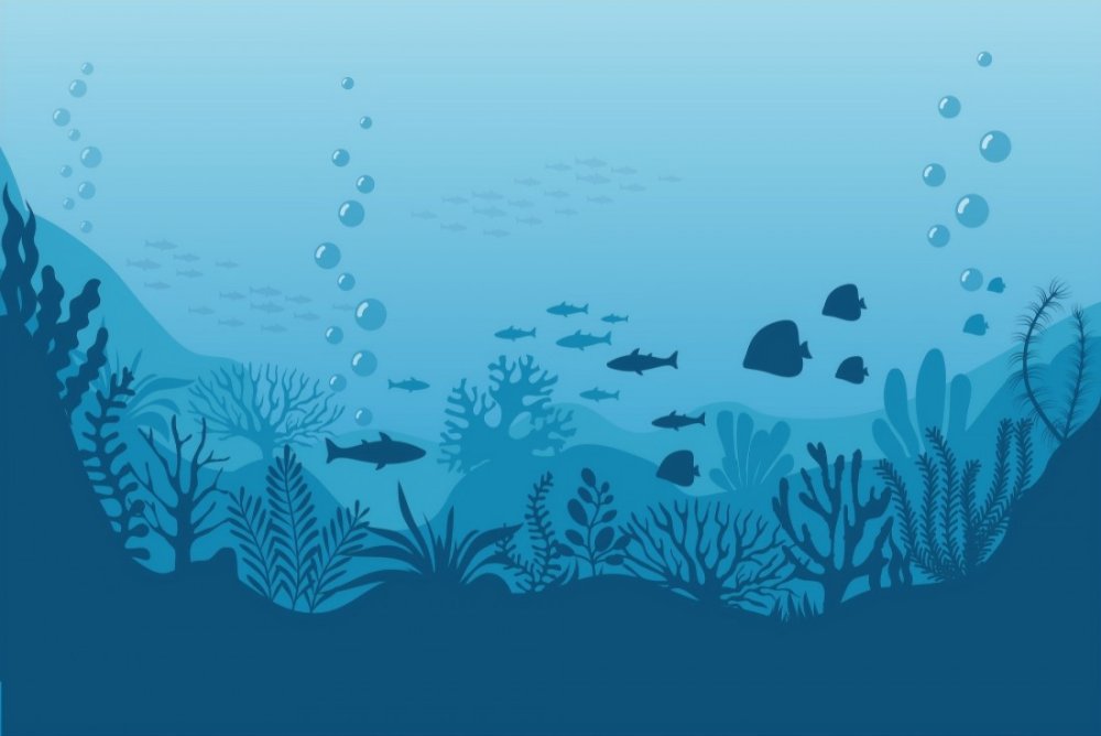 Сокровища океана