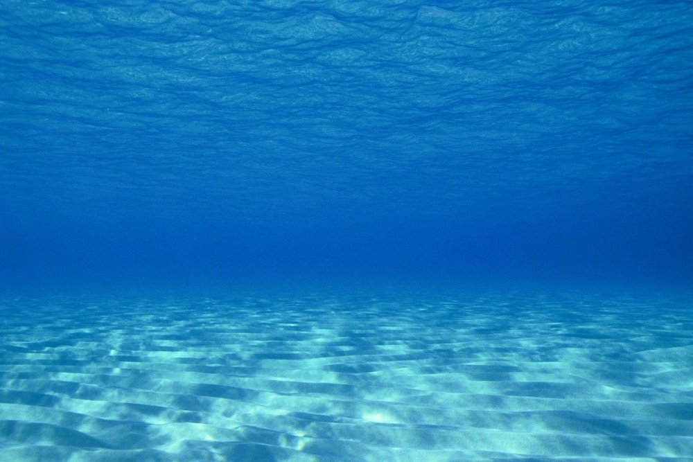 Медузы для ныряния