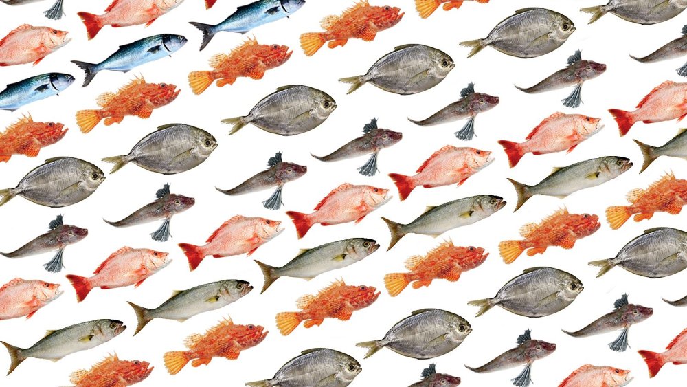 Съедобные рыбы в море