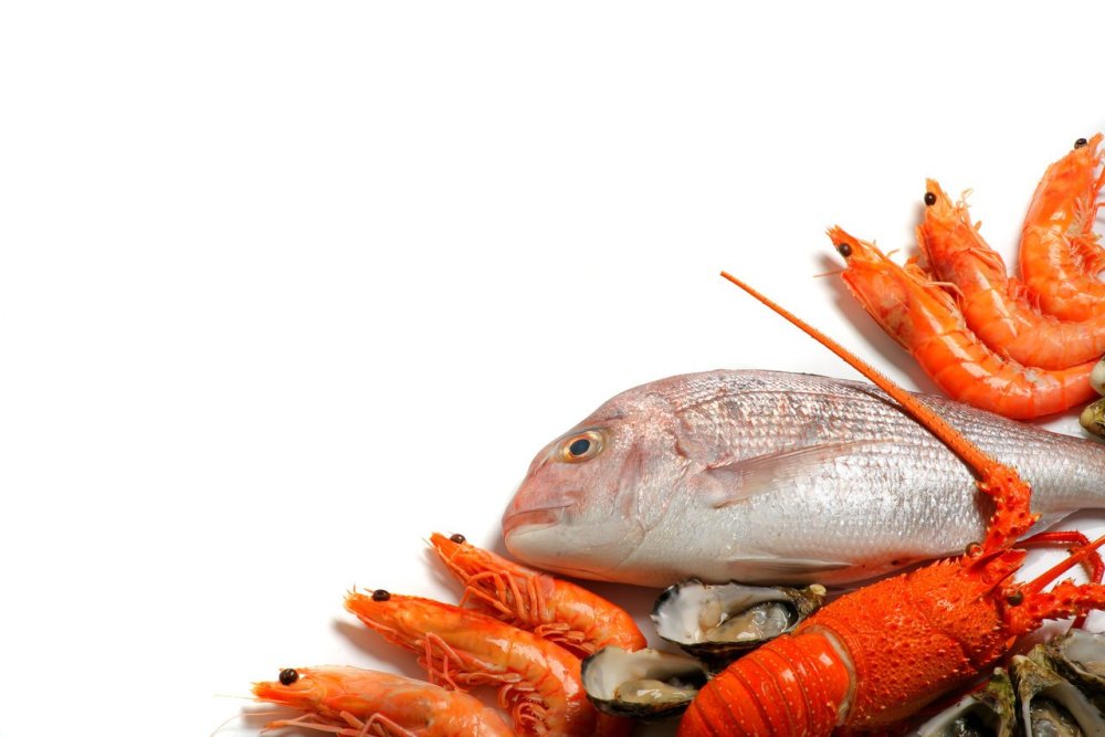 Морепродукты на белом фоне