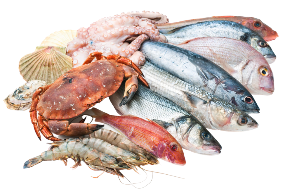Рыба и морепродукты