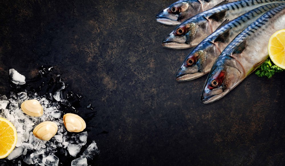 Североатлантическая скумбрия