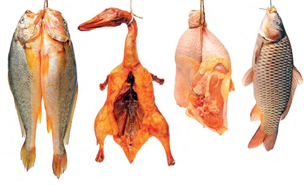 Курица или рыба