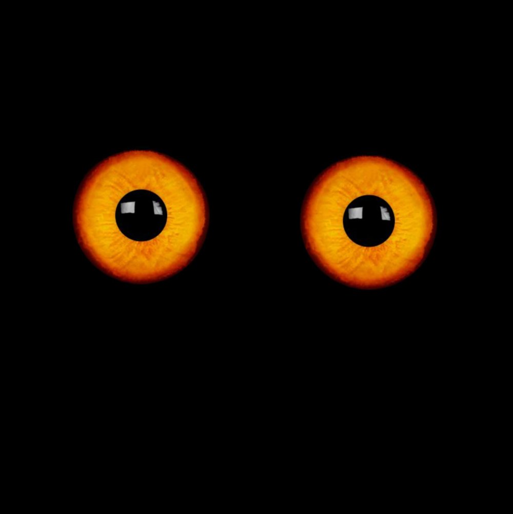 Тёмный Чеширский кот