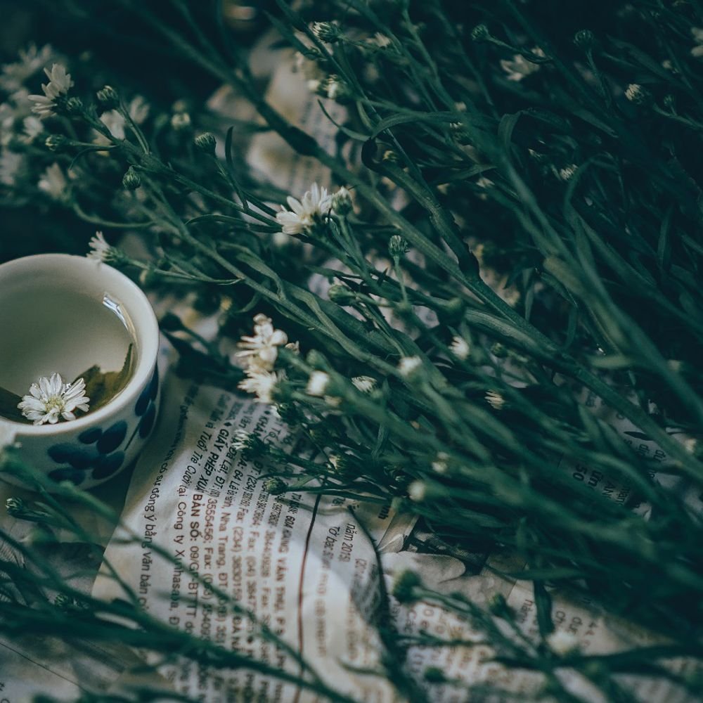 Зелёный чай Эстетика