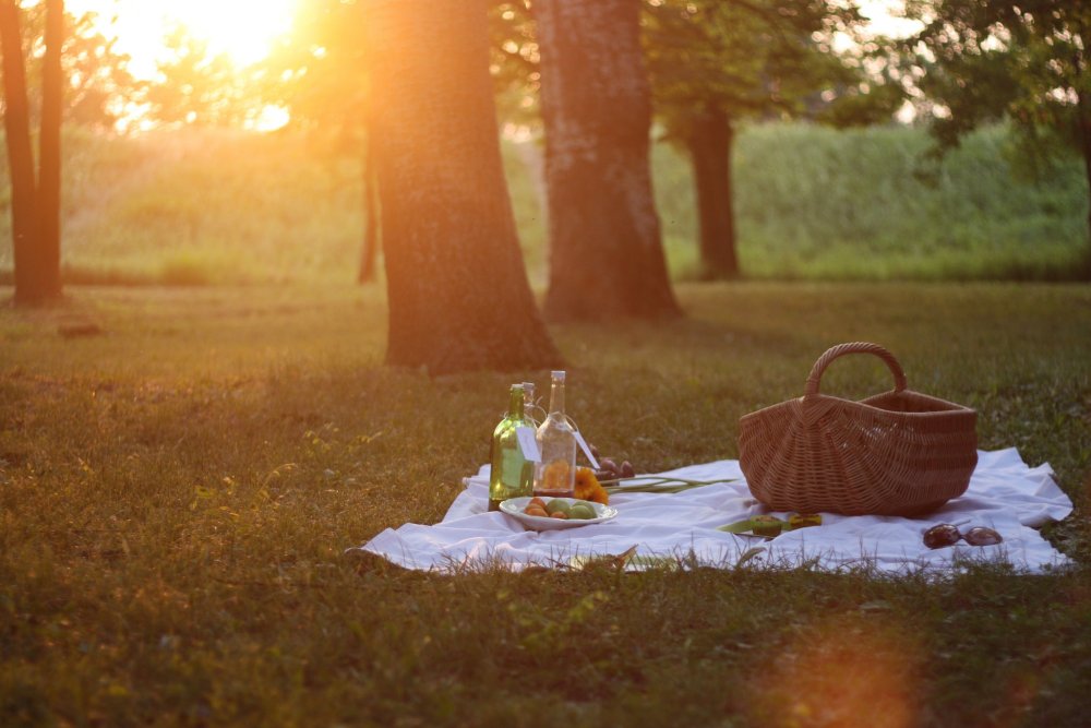 Пикник осень