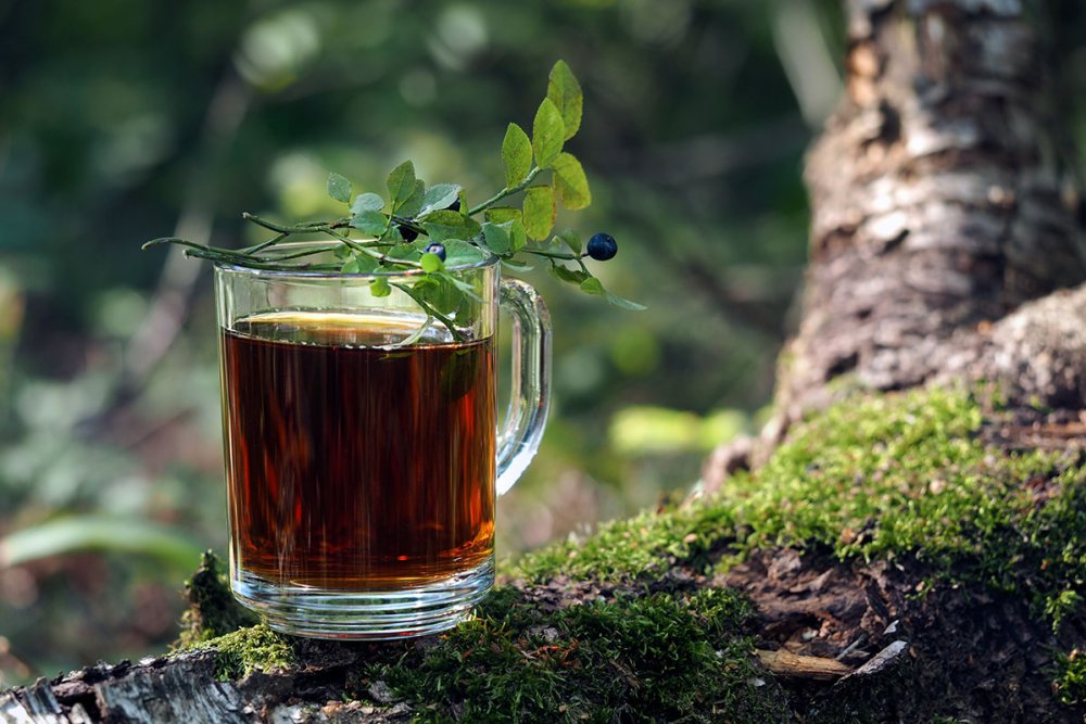 Кружка чая в лесу