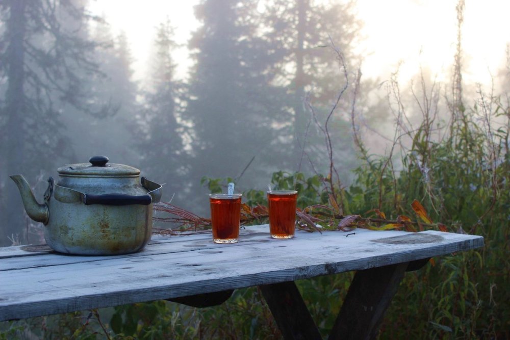 Чаепитие на природе