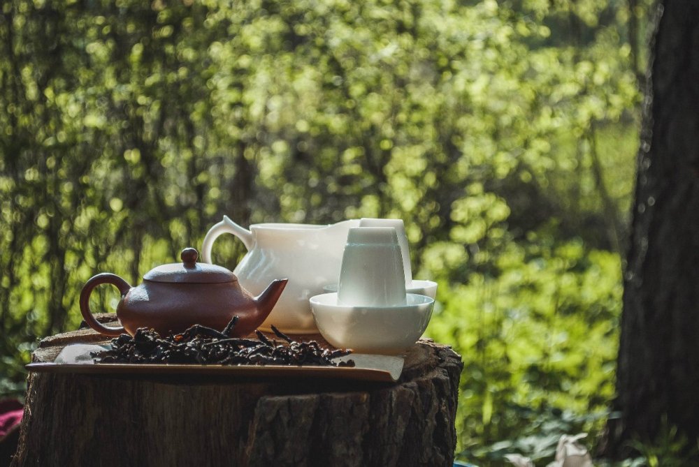 Чаепитие на природе