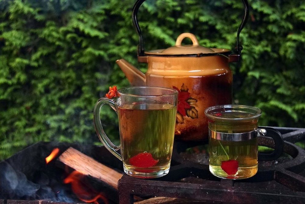 Чай в лесу