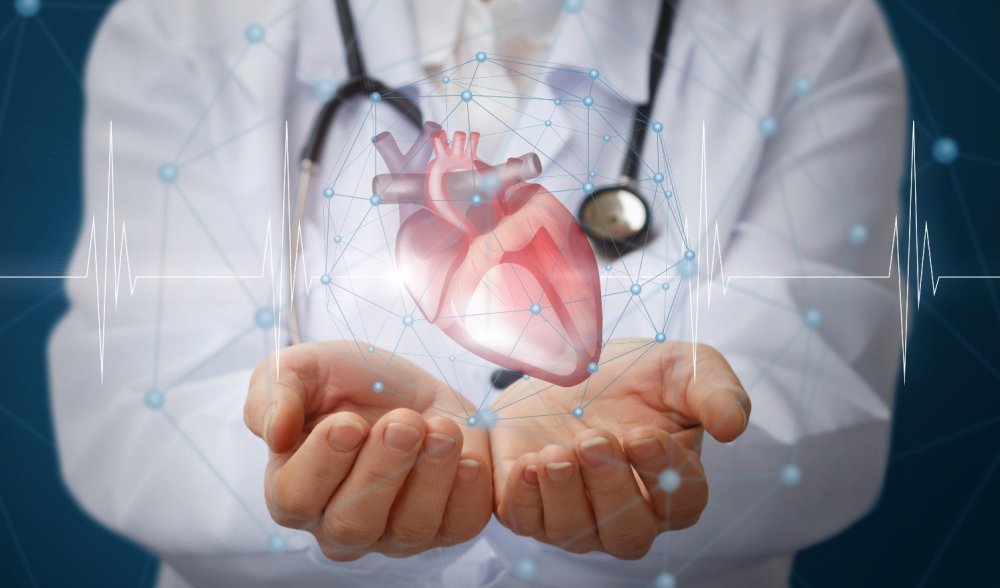 Сердце в руках медицина