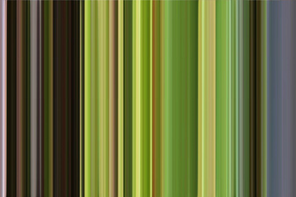 Зеленая полоска