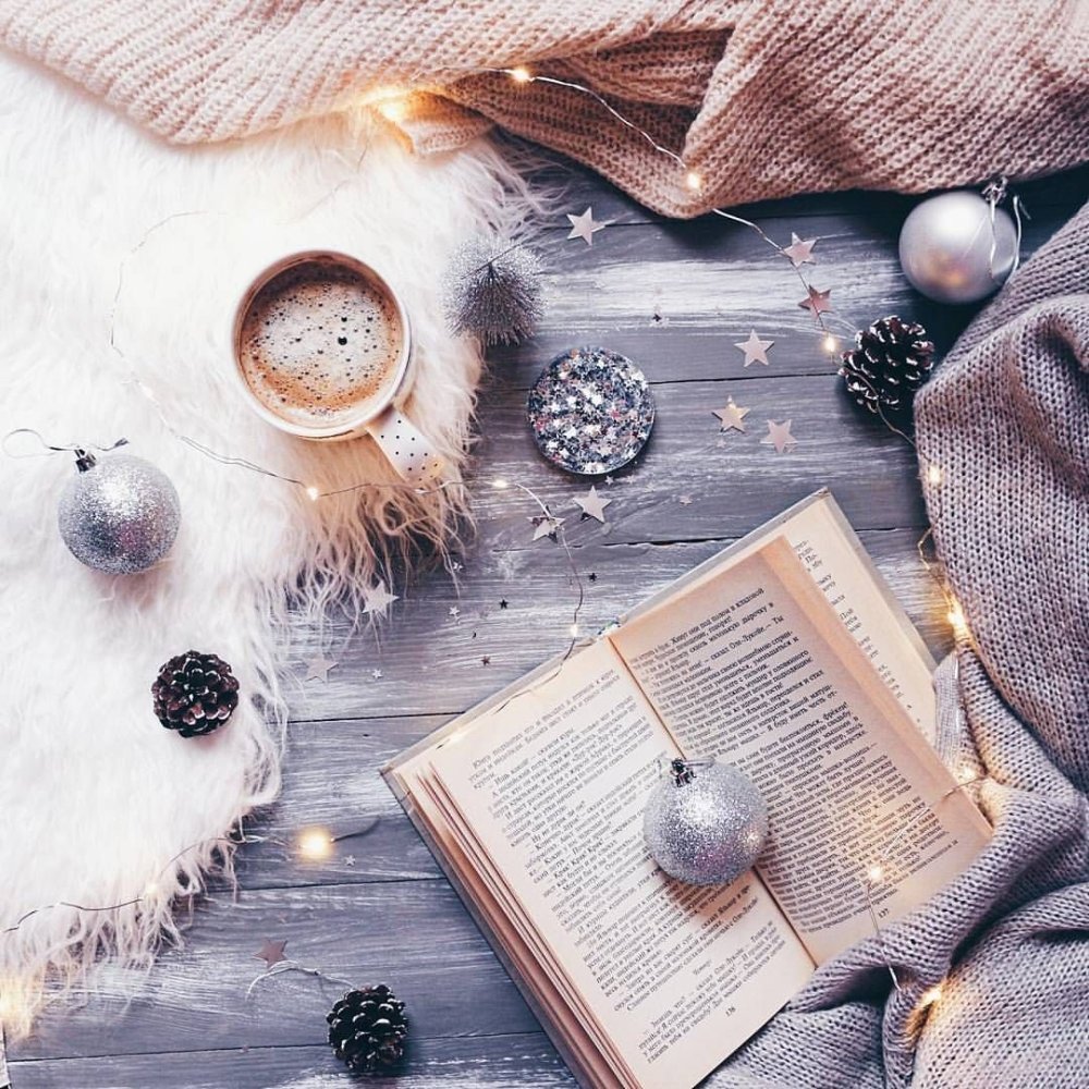 Зимняя книга