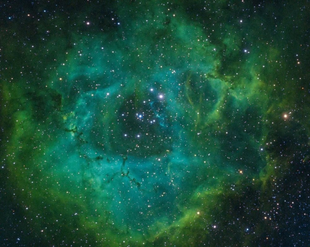 Фон для фото