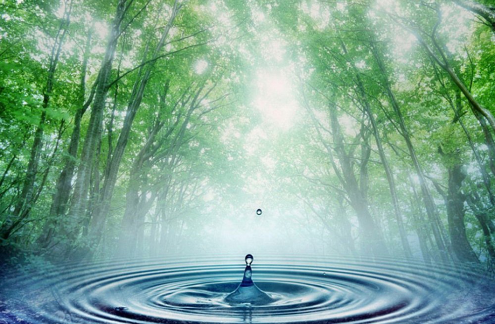 Гармония природы