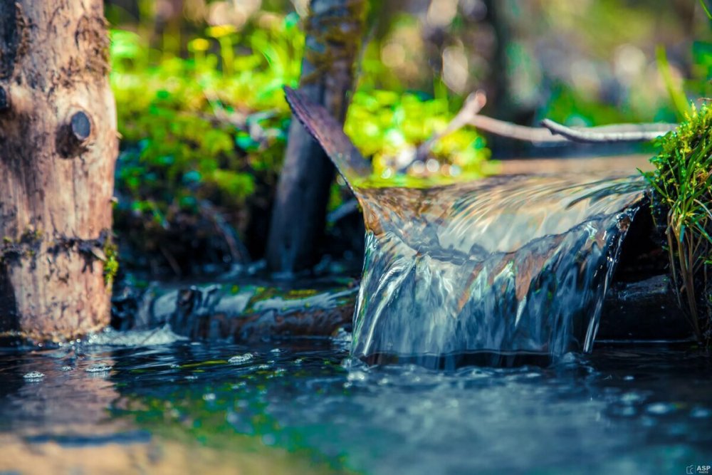 Природная вода
