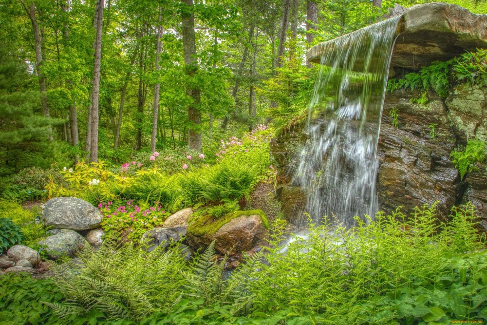 Природа Удмуртии Родники