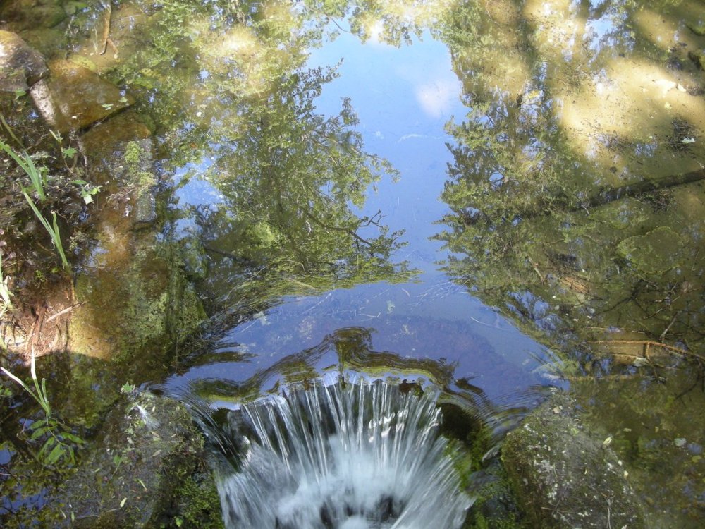 Природа Удмуртии Родники