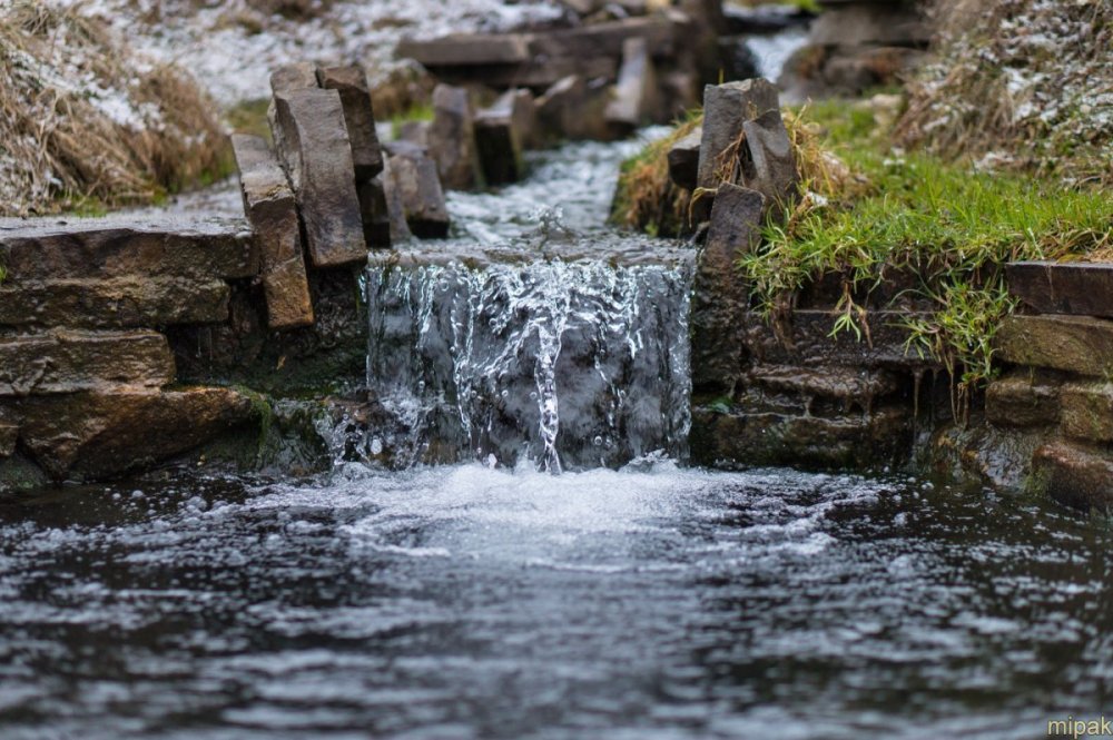 Родник России