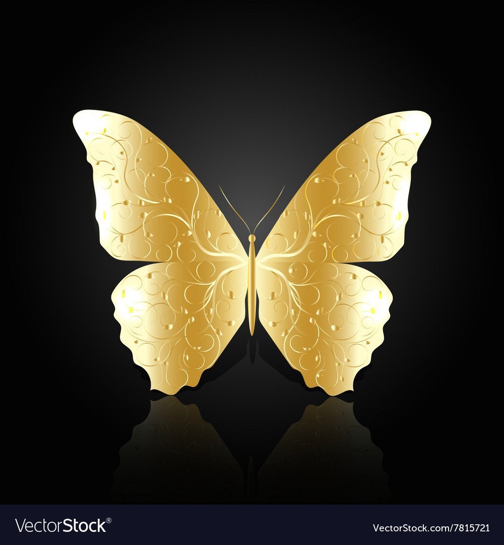 Бабочки на черном фоне