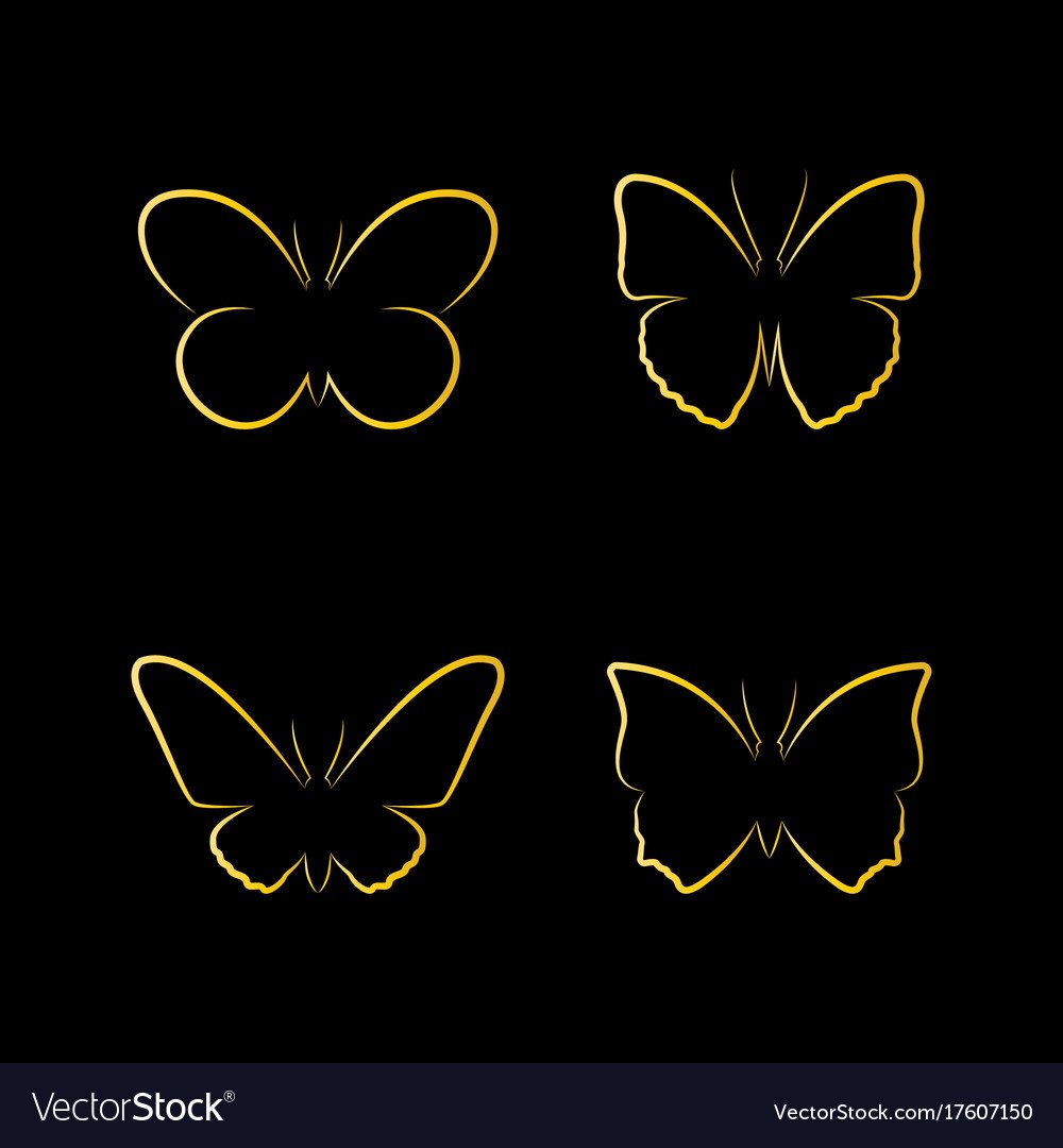 Бабочки Голден Баттерфляй